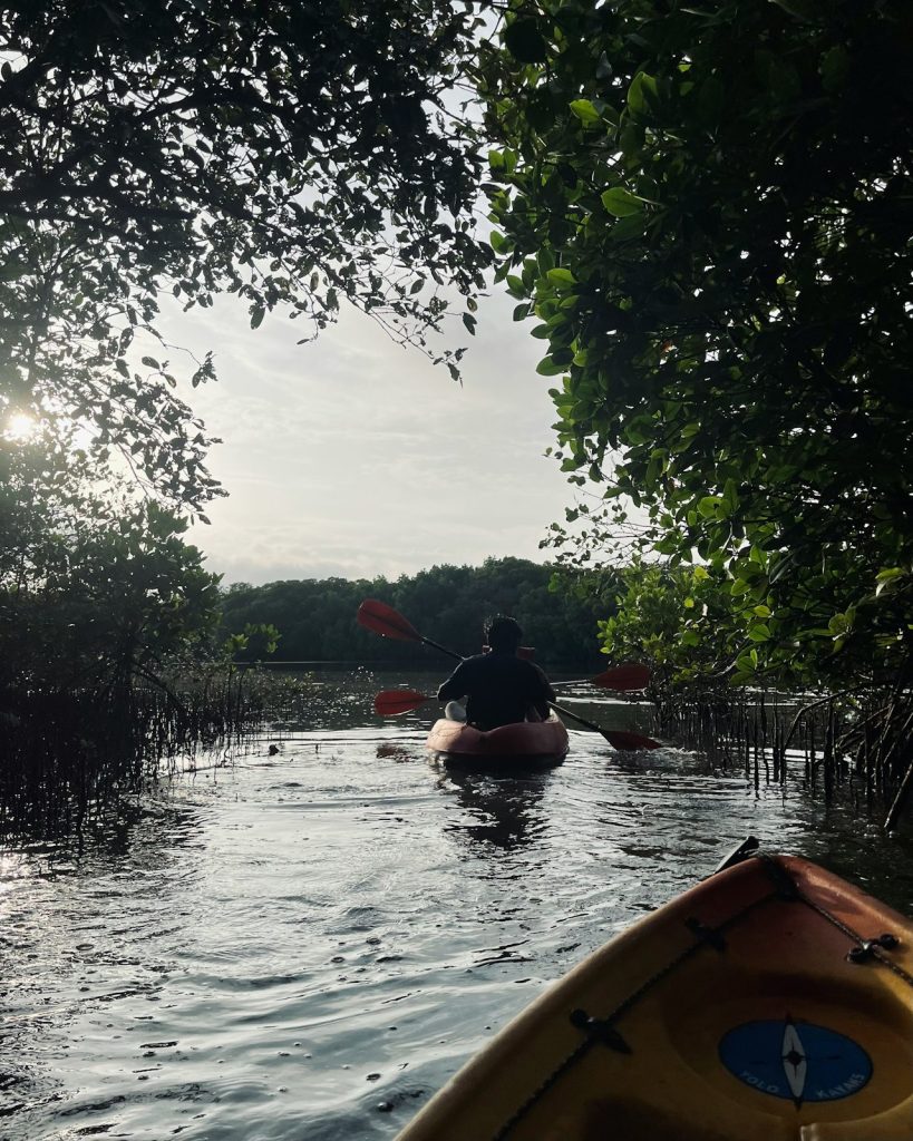 Tour de Manglares en Kayak
