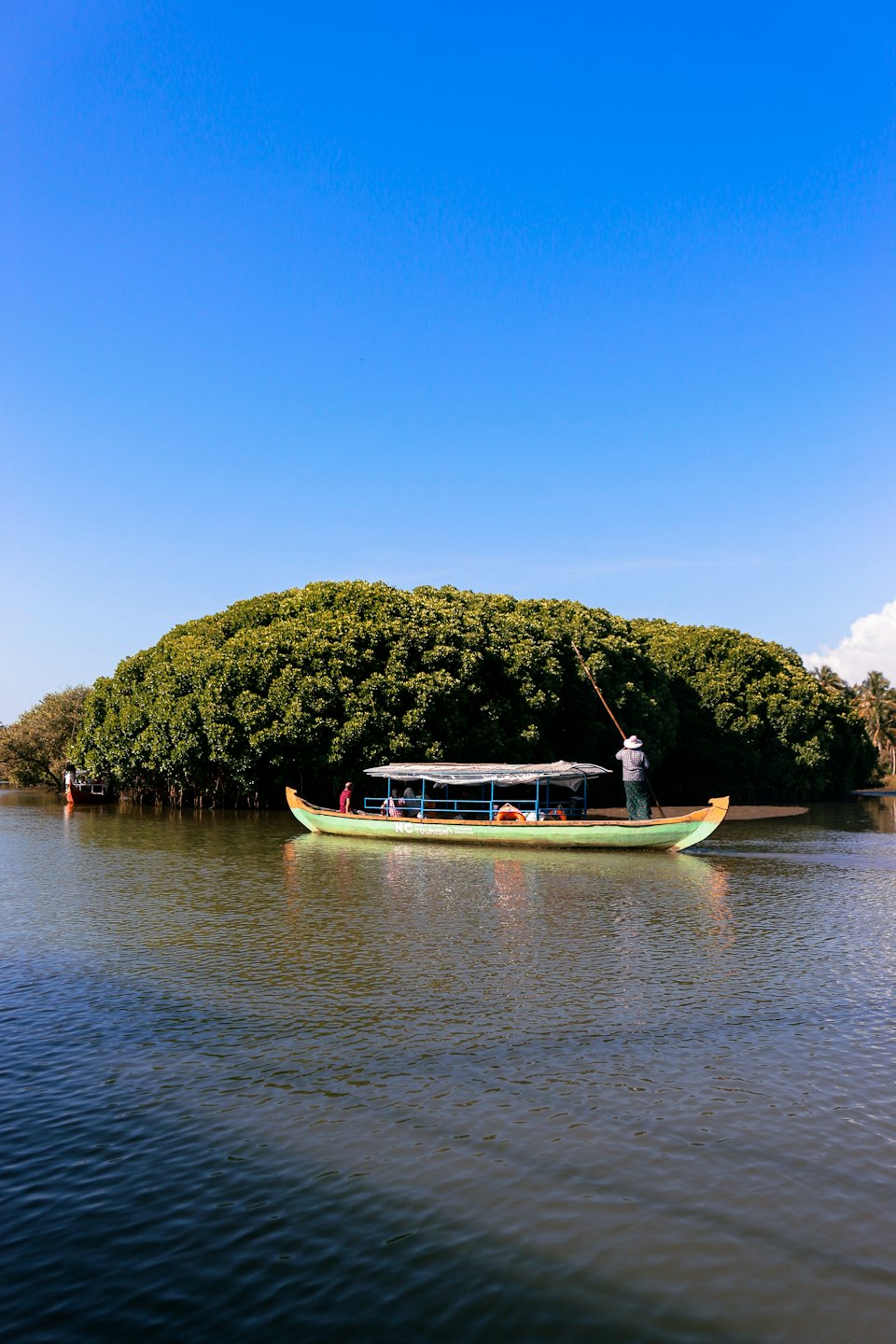 Un barco turístico con pasajeros avanza entre manglares en un río.